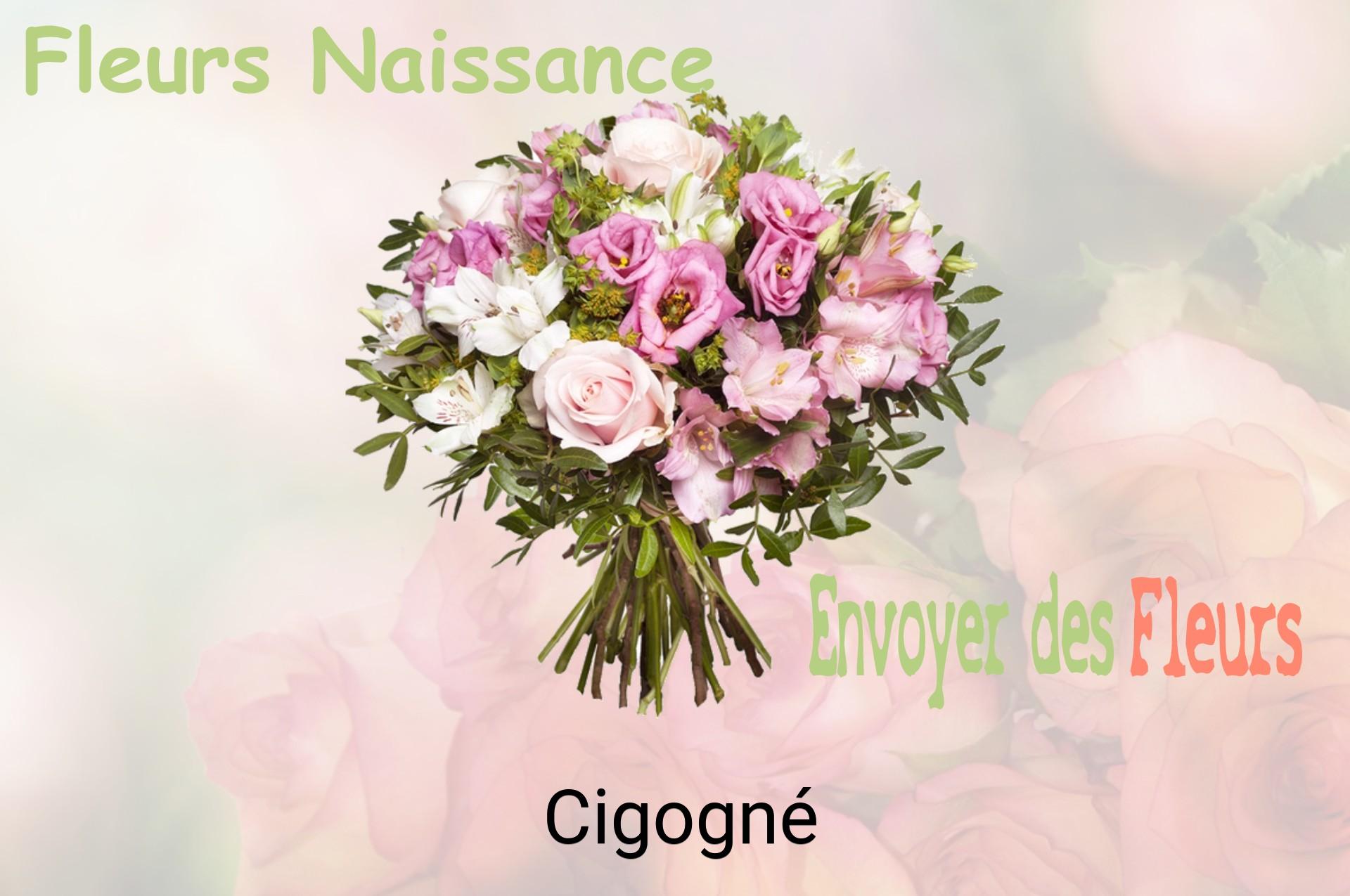 Bouquet de fleurs de naissance livré à Cigogné