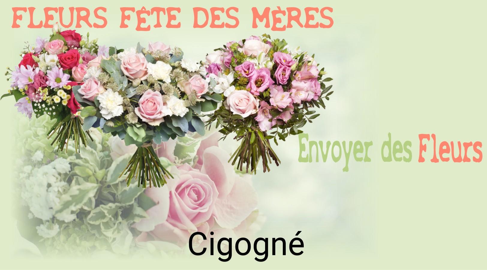 Bouquet de Fête des Mères livré à Cigogné